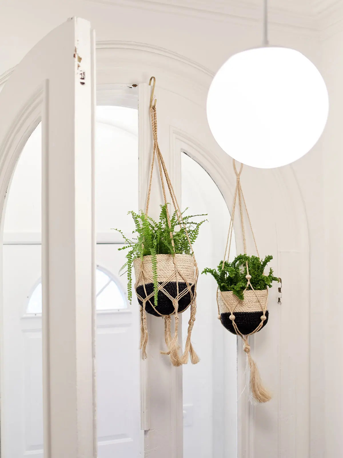 Plant Hanger - Bitan KORISSA