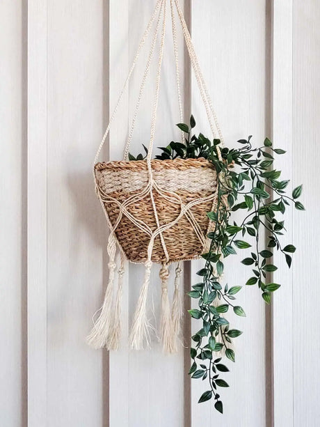 Plant Hanger - Bitan KORISSA