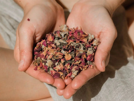 Rose Petals Paavani Ayurveda
