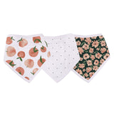 Canyon Sunset Bamboo Bandana Bibs 3Pk-1