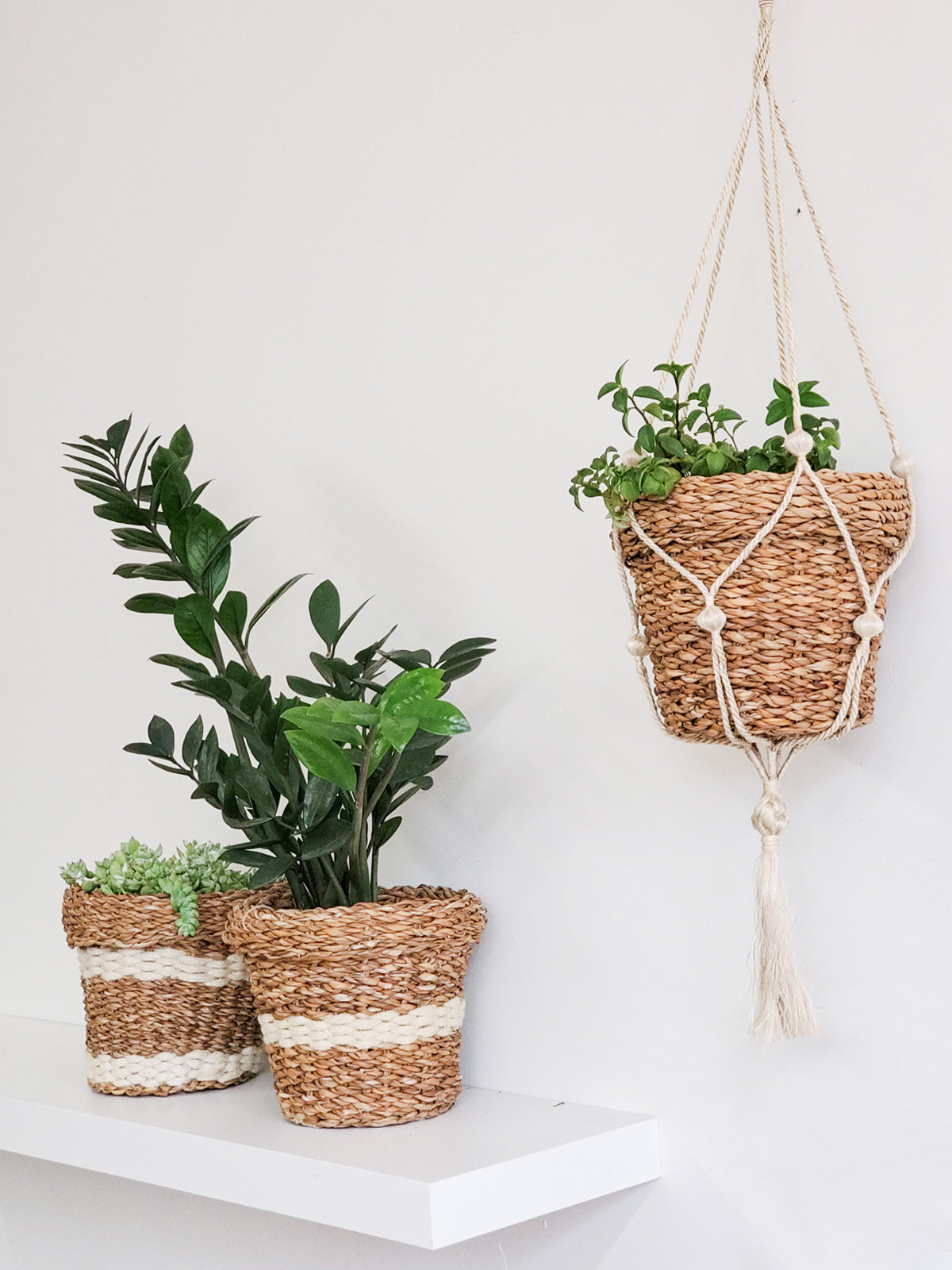 Nesting Plant Basket-8