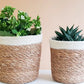 Savar Plant Basket KORISSA