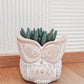 Terracotta Pot - Big Eye Owl KORISSA